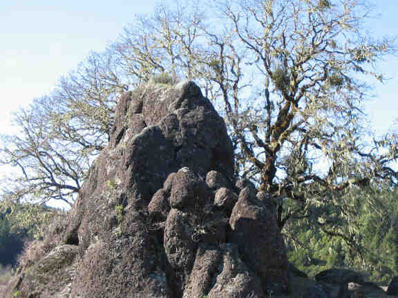 Family Rock, Swamp Gulch
