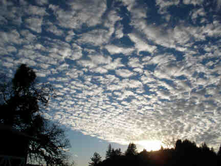 Sky (by Linda J.)