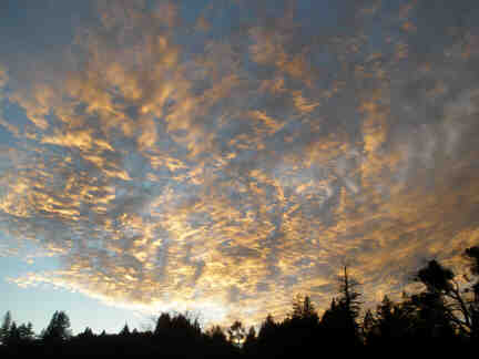 Sky (by Linda J.)