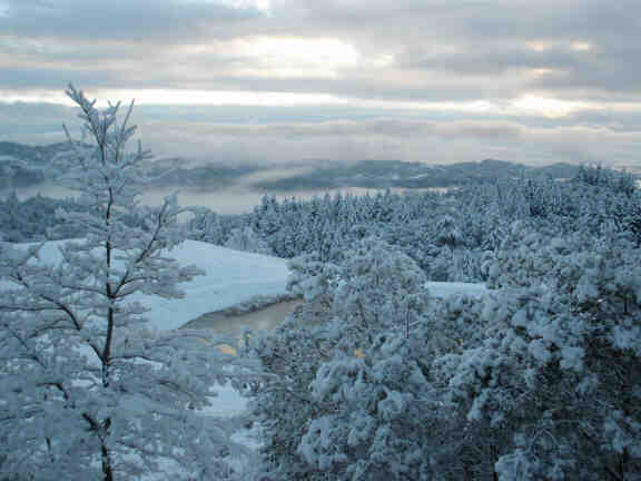 Snow fall on Skyview (by Linda J.)