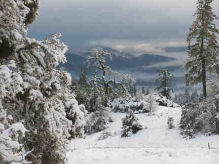 Snow fall on Skyview (by Linda J.)