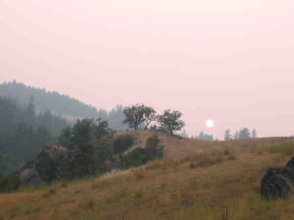 Smoky Sunset, looking up Sherwood Creek