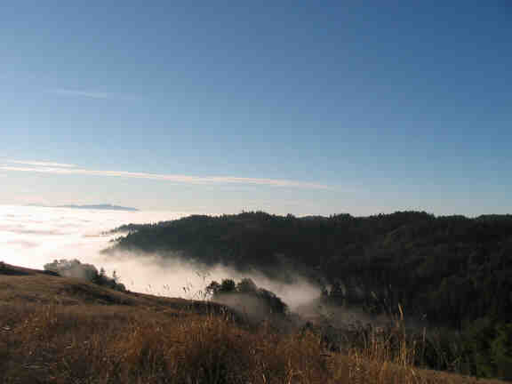 Valley Fog